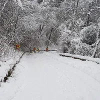 img-20190106-wa0003.jpg
