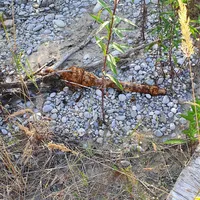 img-20200814-wa0005.jpg