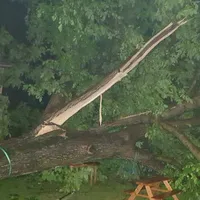 img-20220726-wa0002.jpg